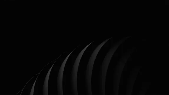 סטארדה קזינו תמיכה